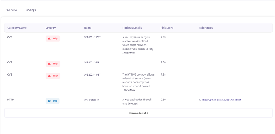 ASM-Findings-IP-view